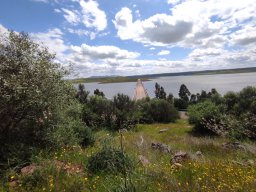 Flora del Cerro Masatrigo